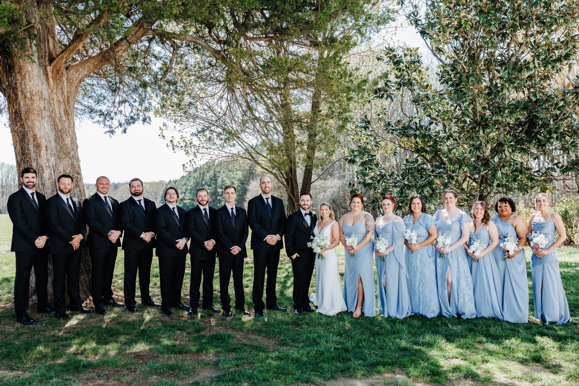 Full wedding party under the trees at Historic Whitewood at Historic Whitewood